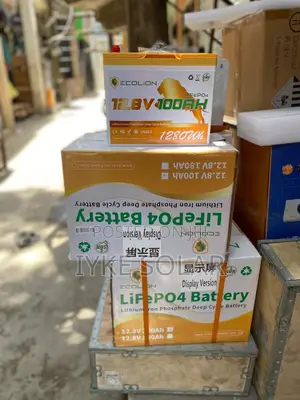 100ah 12v Ecolion Lithium Ion Battery