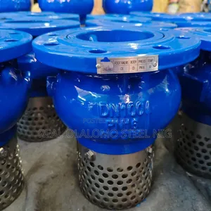 Foot Valve