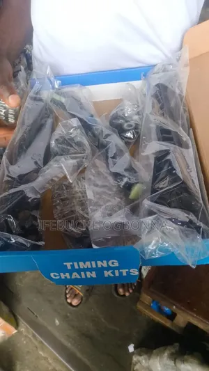 Brand New Chain System Ford F150 Ford Explorer 5.4 2010