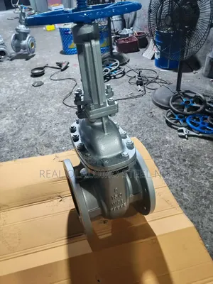 W C B Steel Gate Valve