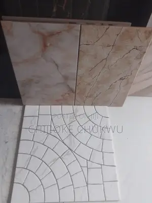 Toilet Floor