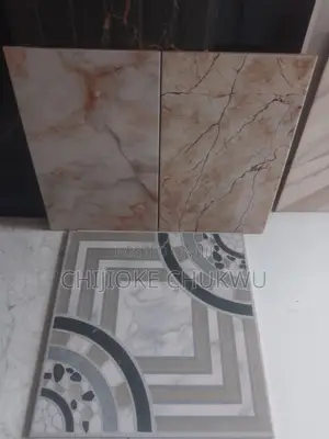 Toilet Floor