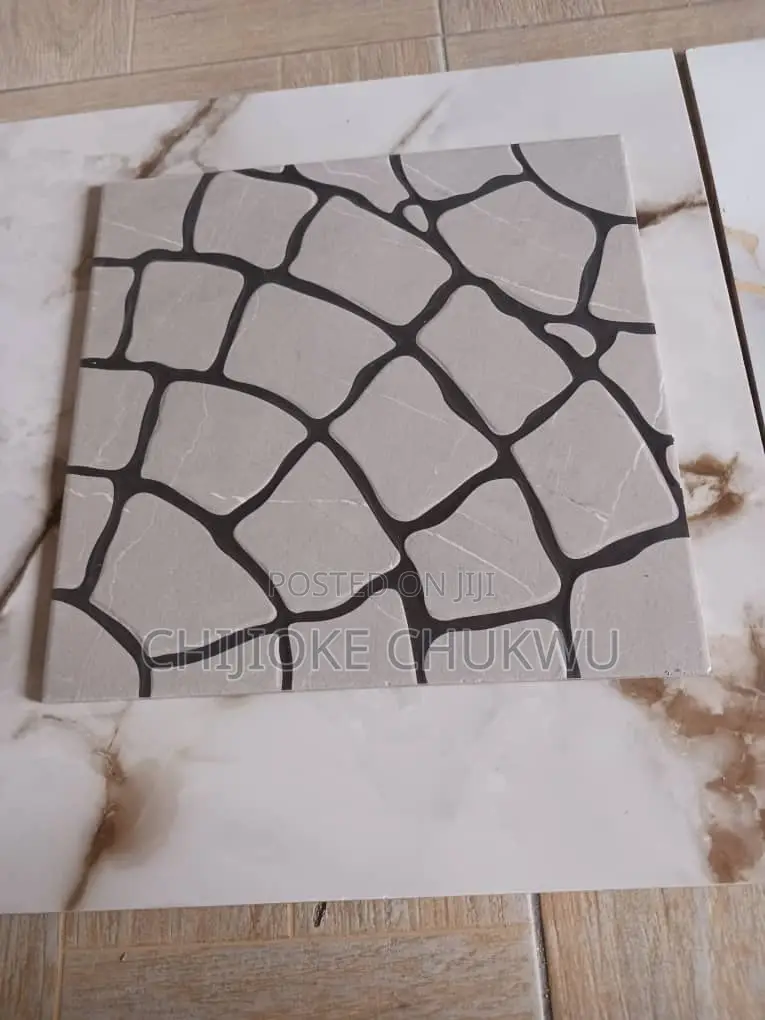 Toilet Floor