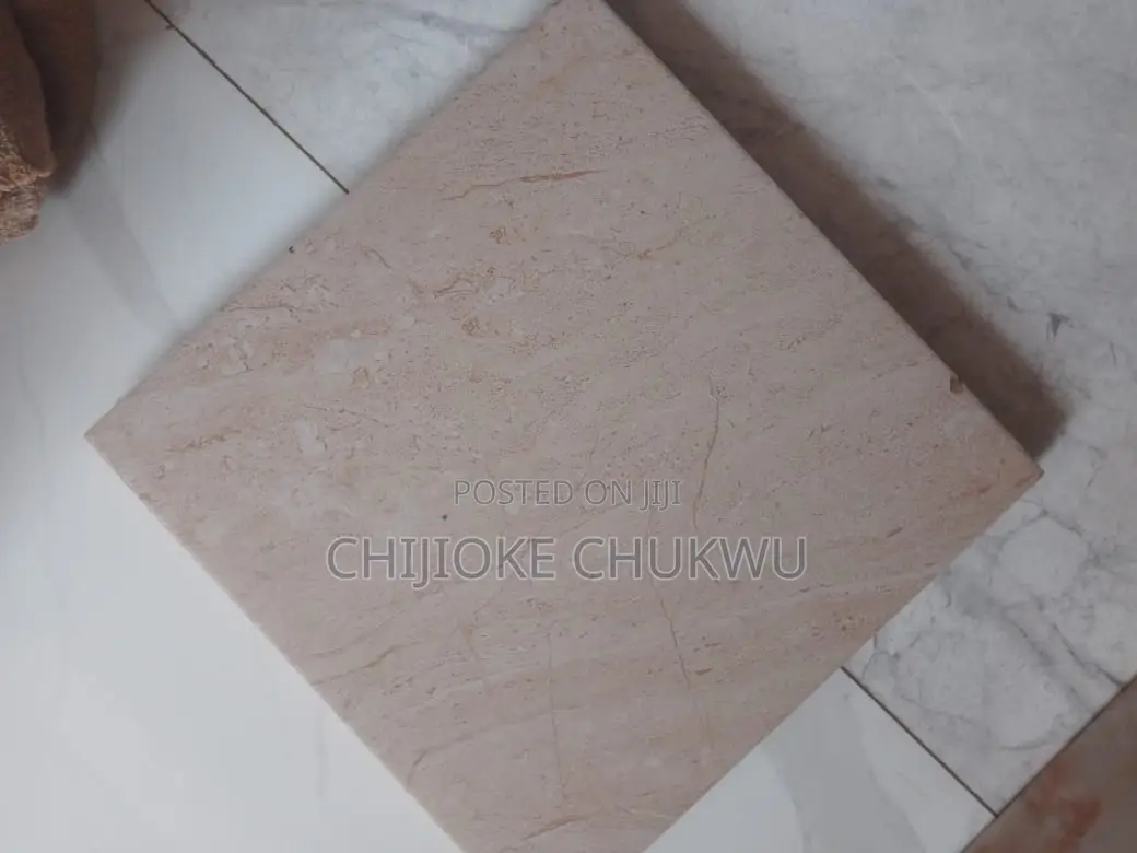 Toilet Floor