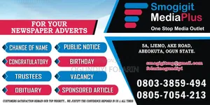 Mr Ogundiyi Folarin