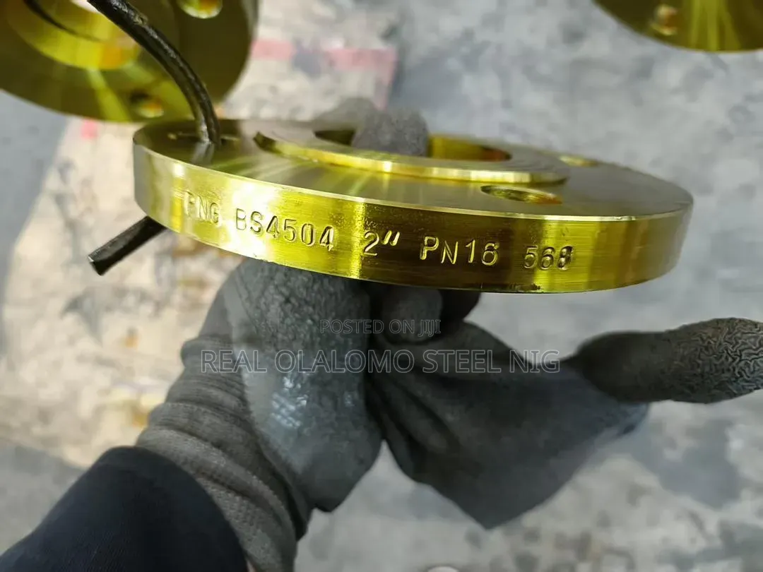 Mild Steel Flange