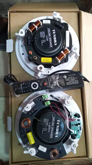 Bluetooth Ceiling Speakers