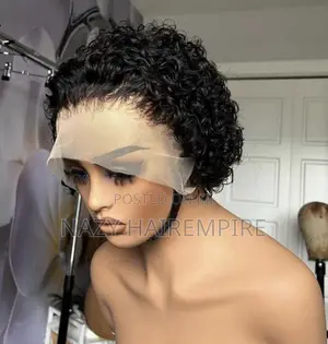 We Deal With All Kind of Human Hairs , Slay on Budget