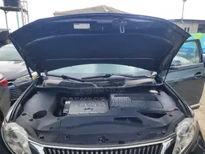Lexus RX 2010 Black