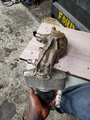 Coolant Sitting Ford F150/Ford Mustang 5.0 2015/2020