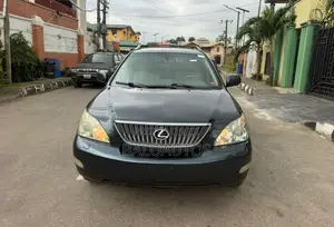 Lexus RX 330 2005 Gray
