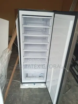 Quality Inverter Brumh Upright