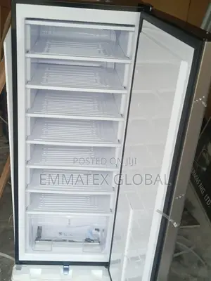Upright BRUHM Inverter Freezer for Home Uses,bar Restaurant Ice Cream