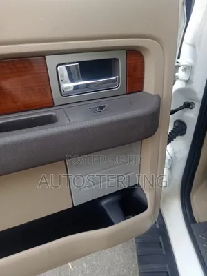 Ford F-150 2010 Beige