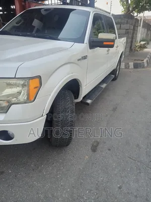 Ford F-150 2010 Beige