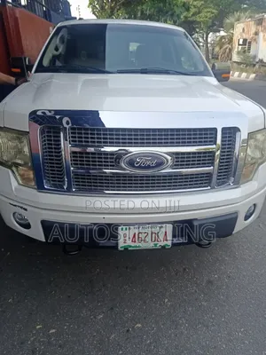 Ford F-150 2010 Beige