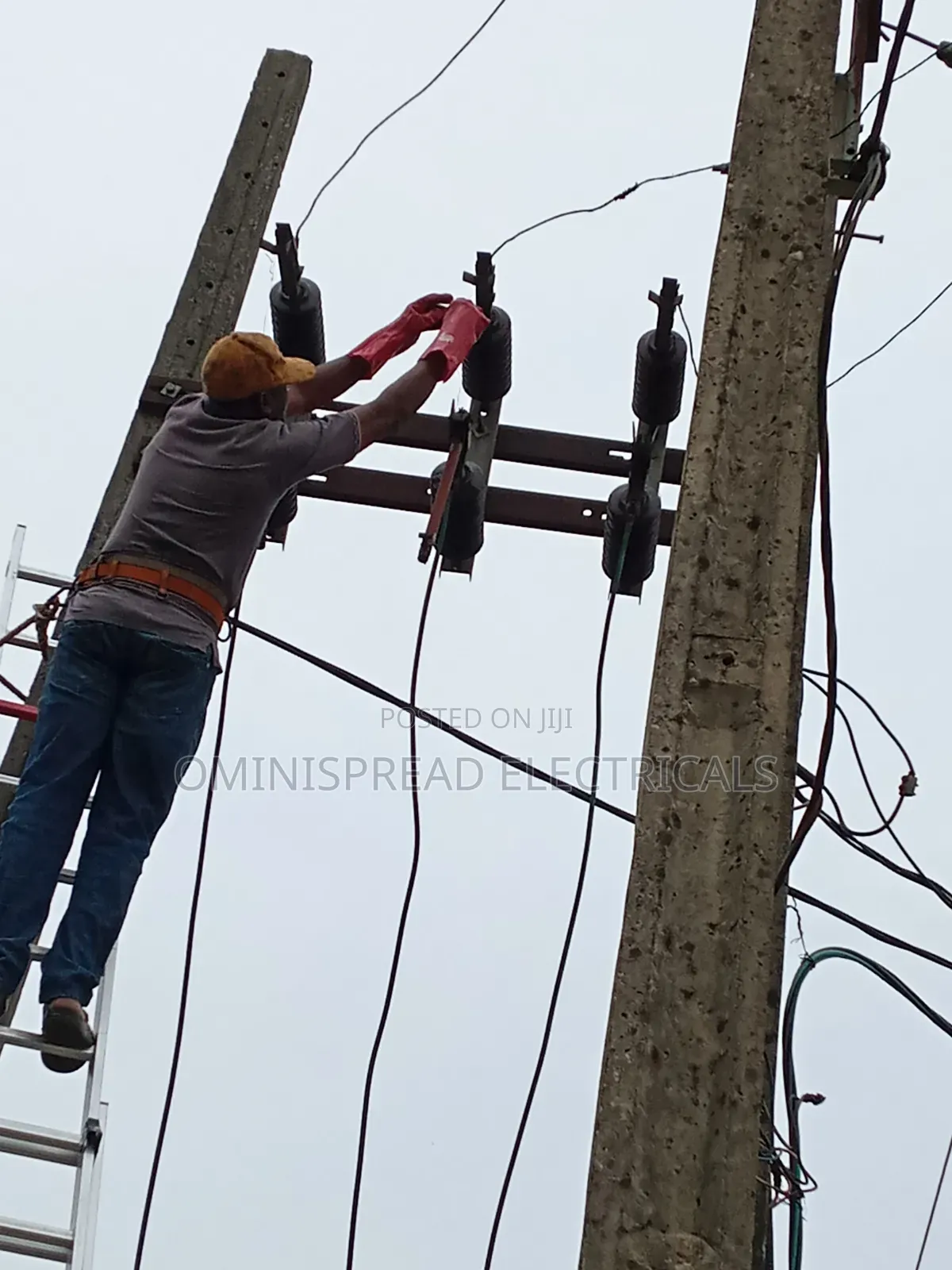 Ominispread Electricals