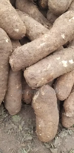 Confidence Foods