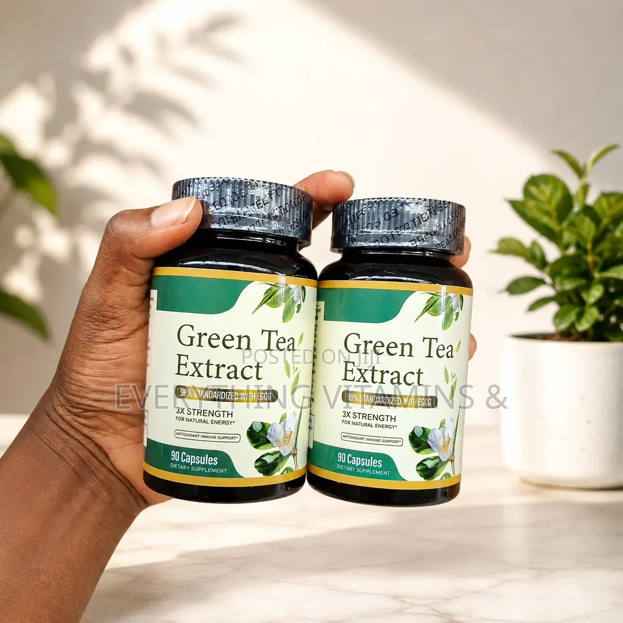 Green Tea Extract Supplement (90 Capsules)