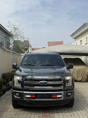 Ford F-150 2015 Gray