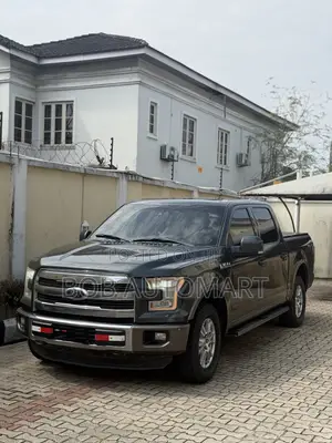 Ford F-150 2015 Gray