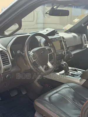 Ford F-150 2015 Gray