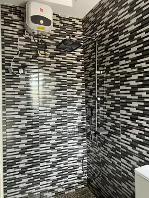 Professional Plumbing Services