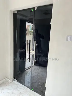 Frameless Glass Door (Gray Glass for Entrance)