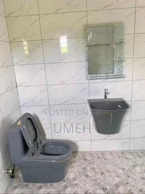 Professional Plumbing Services