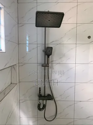 Professional Plumbing Services