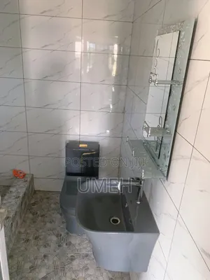 Professional Plumbing Services