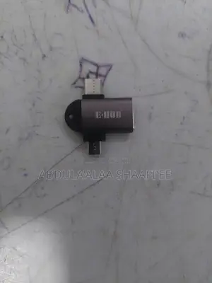 E-Hub OTG Adapter_ 2 in 1