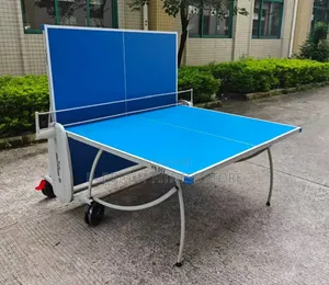 Table Tennis