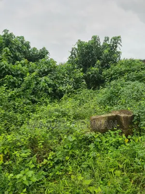 Plot of Land 100ft by 50ft