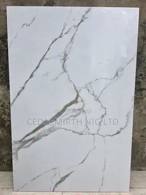 Floor Wall Tiles Carrara White in 60cm X 90cm
