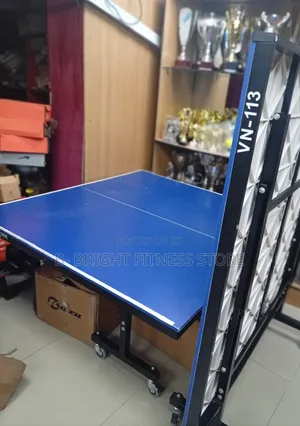 Table Tennis