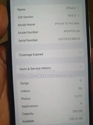 Apple iPhone 12 Pro Max 256 GB Graphite