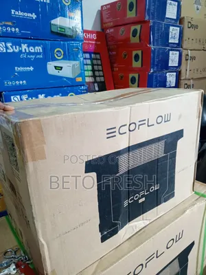 Eco Flow Delta 2 Max