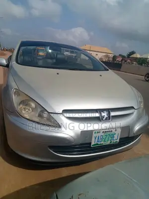Peugeot 307 2007 Silver
