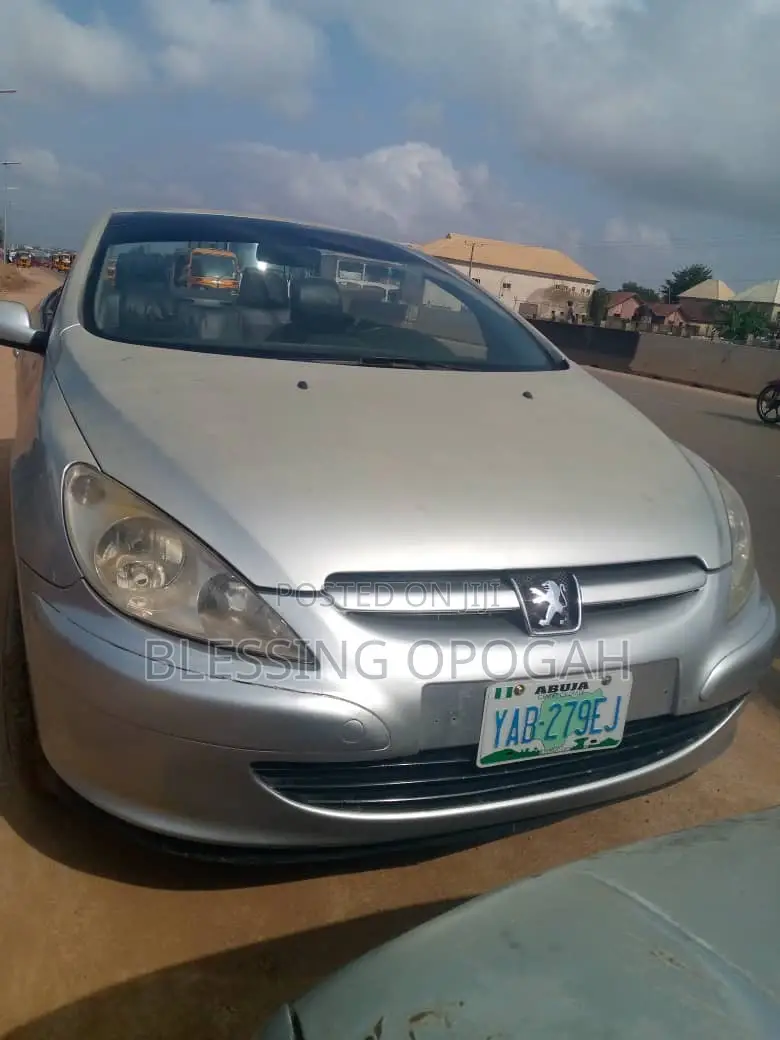 Peugeot 307 2007 Silver