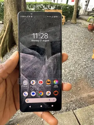 Sony Xperia 1 V 256 GB Gray
