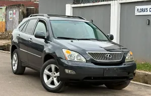 Lexus RX 2008 Gray