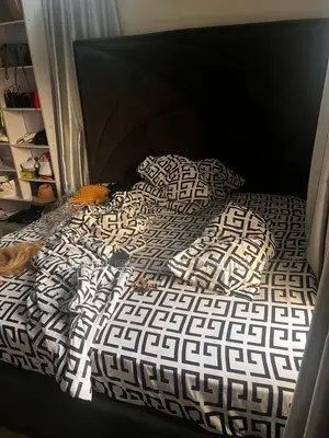 6by6 Ash Color Bed Frame