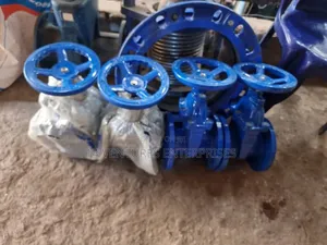 Blue Flanged Gate Valve – DN100 PN10/16