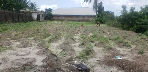 Two Plots of Fenced Waterfront Land for Sale at Elelenwo