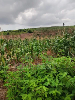 Land for Sale in Army Estate Hill Top