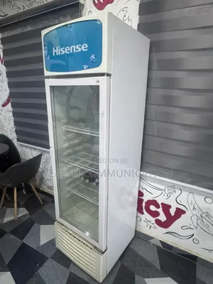 Hisense Standing Chiller 282litres