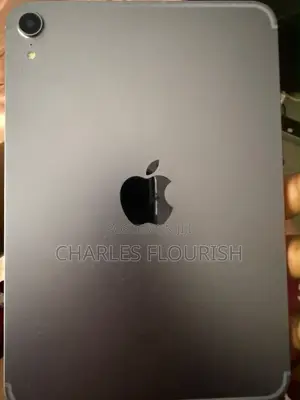 Apple iPad mini 6 64 GB Gray