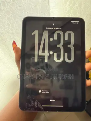 Apple iPad mini 6 64 GB Gray