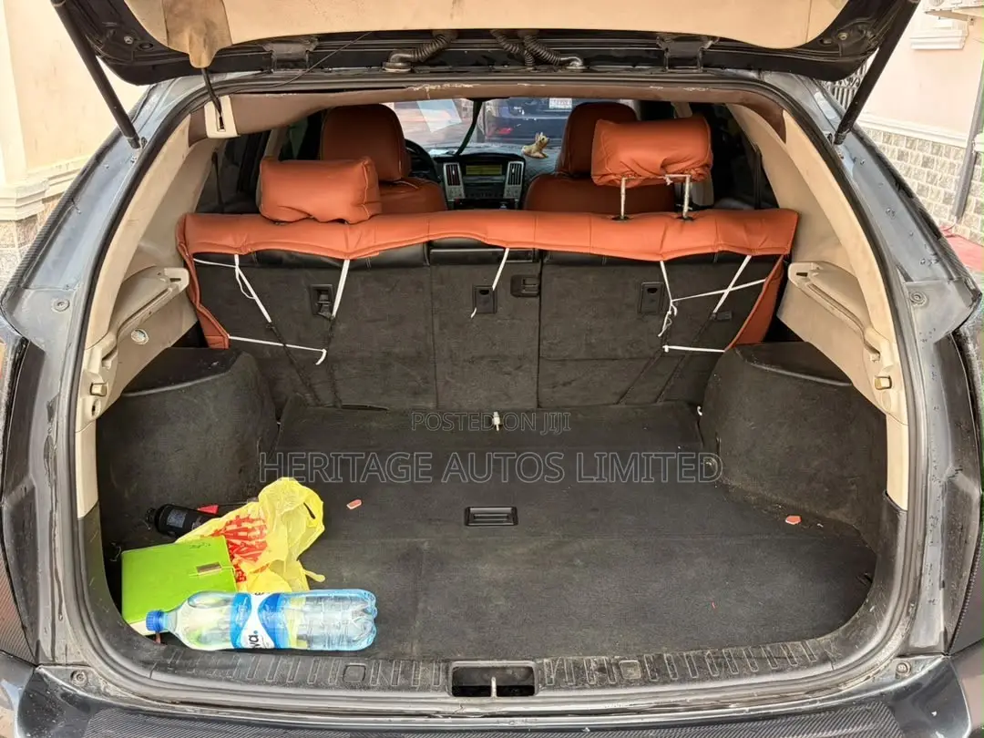 Lexus RX 2005 Matt Black